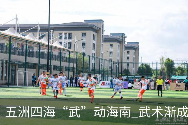 五洲四海“武”动海南 武术渐成世界语言