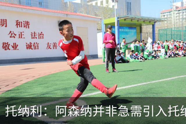 托纳利：阿森纳并非急需引入托纳利，不应花1亿英镑买他