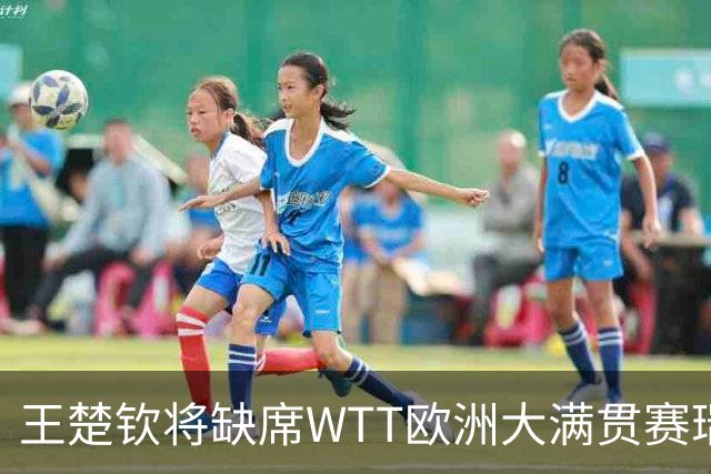 王楚钦将缺席WTT欧洲大满贯赛瑞典站