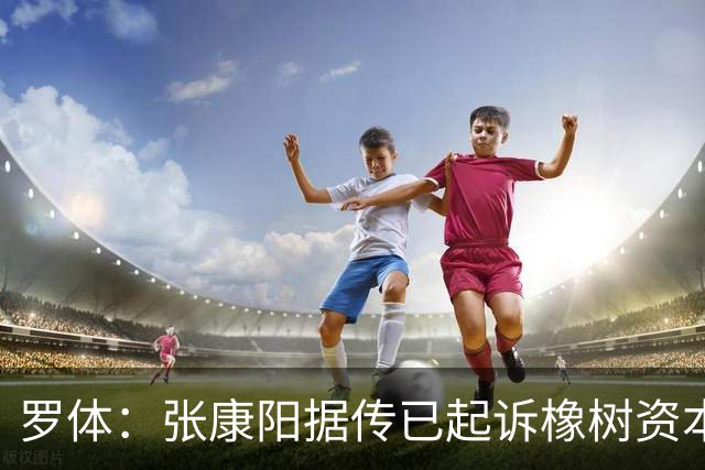 罗体：张康阳据传已起诉橡树资本索赔，诉讼价值可达4.5亿欧元